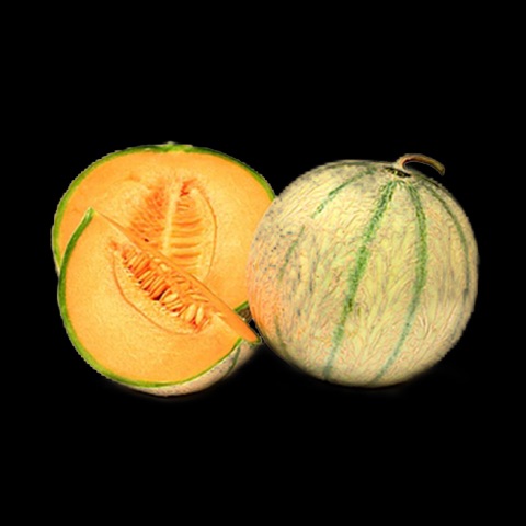 Melon Charentais Espagne env. 850gr la pièce ct 6 pièces