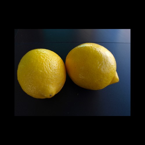 Citrons non traités kg Espagne