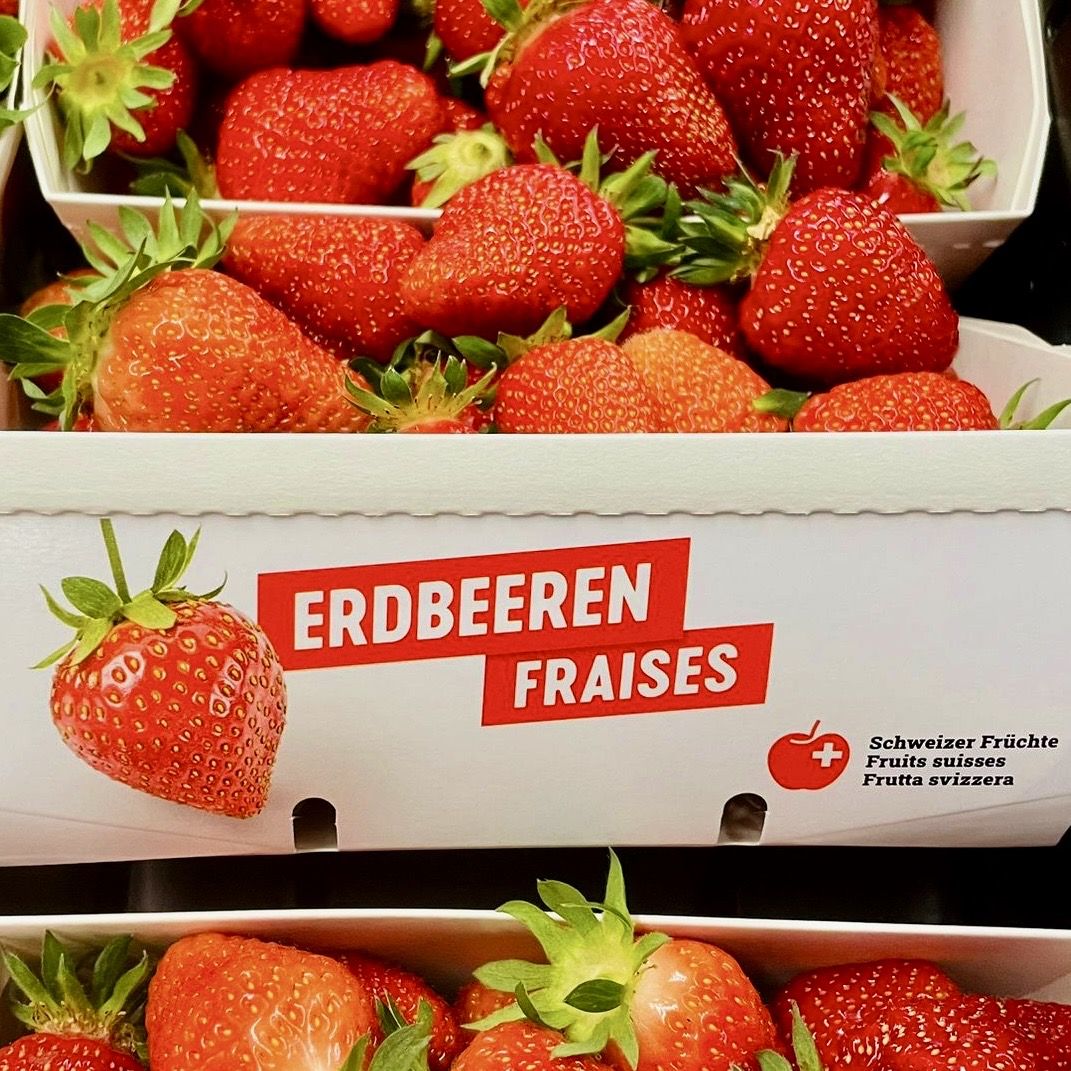 Fraises 10x500gr Valais