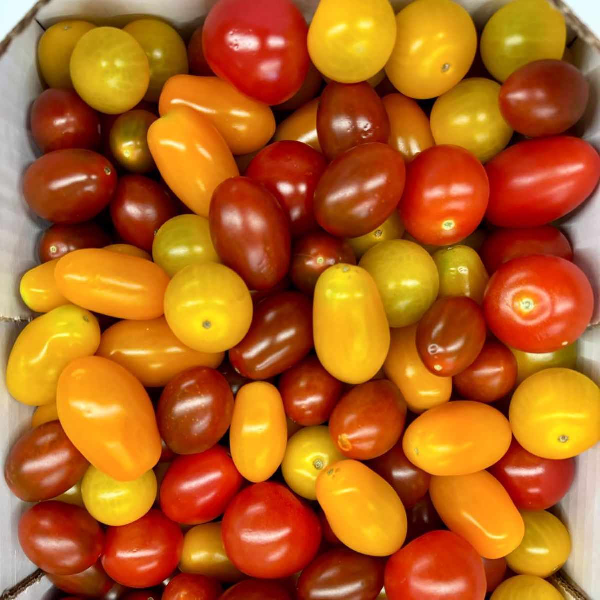 Tomates Cherry Mix 3 Kilos Pays Tomates Cherry Mix 3 Kilos Pays