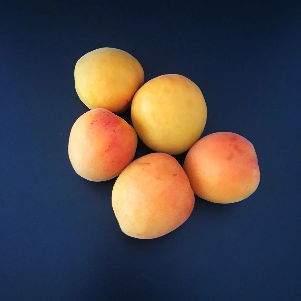 Abricots Luizet I 40-50 carton 5 kg