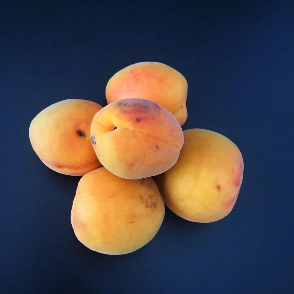 Abricots Luizet ménage