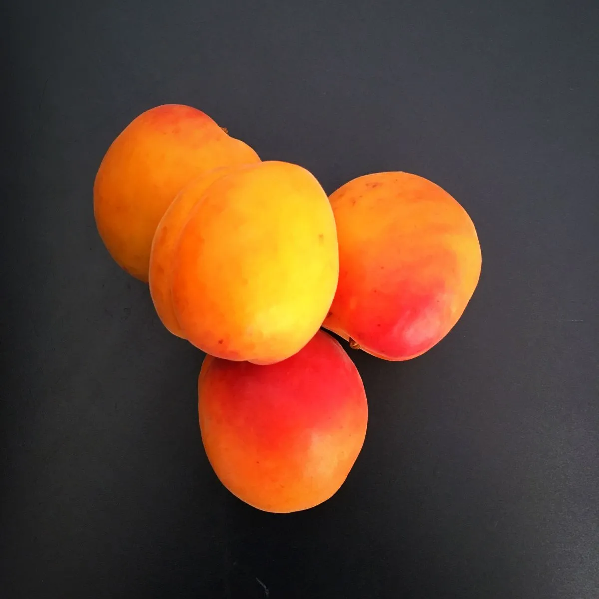 Abricots VS gros 50+ carton 5 kg