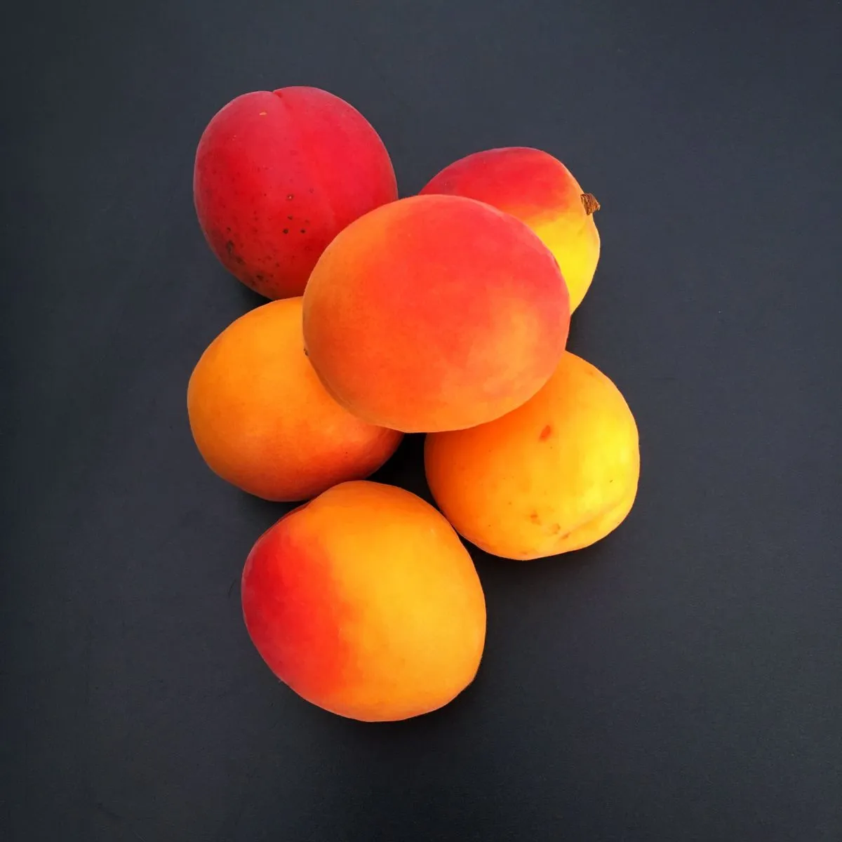 Abricots du Valais 40/50