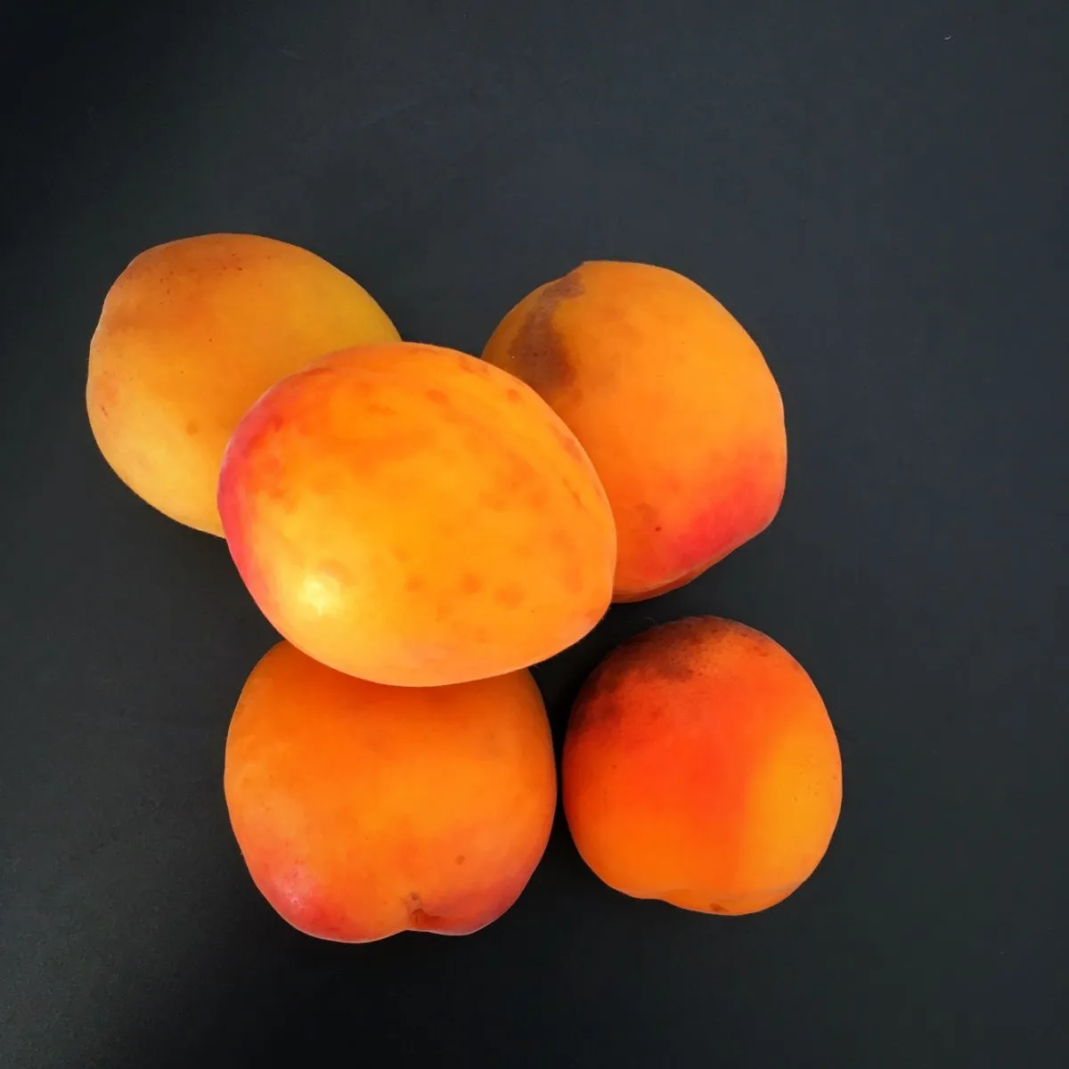 Abricots du Valais Ménage