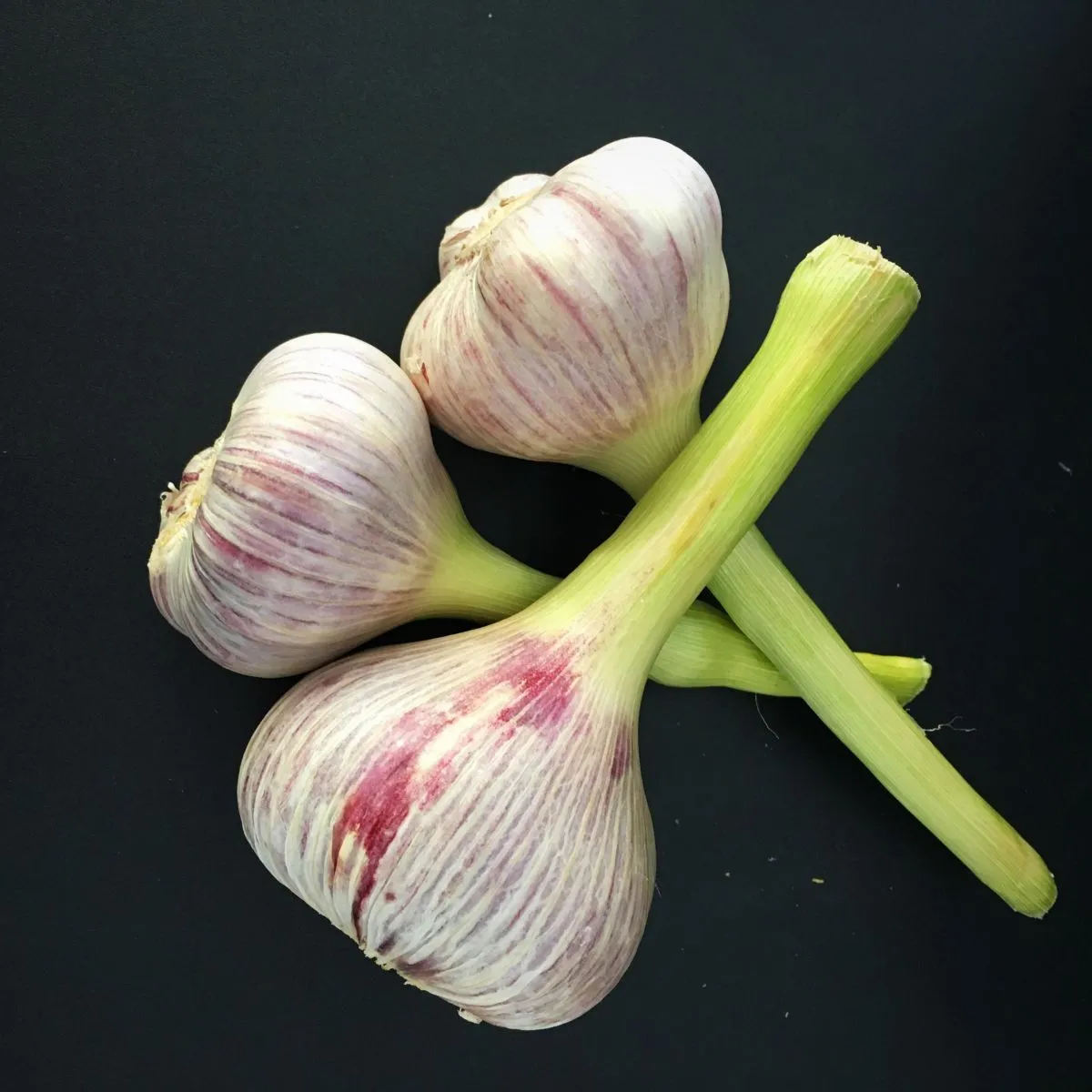 Ail frais France 500gr