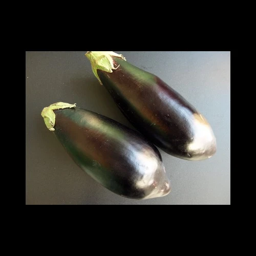 Aubergines Pays carton 5 kg