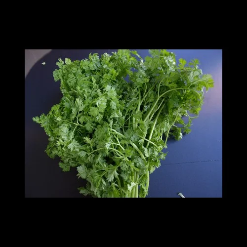 Cerfeuil 500GR Cerfeuil 500GR