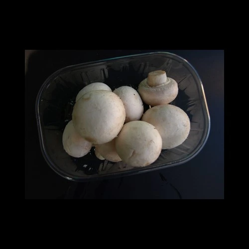Champignons de Paris bq 250 Gr