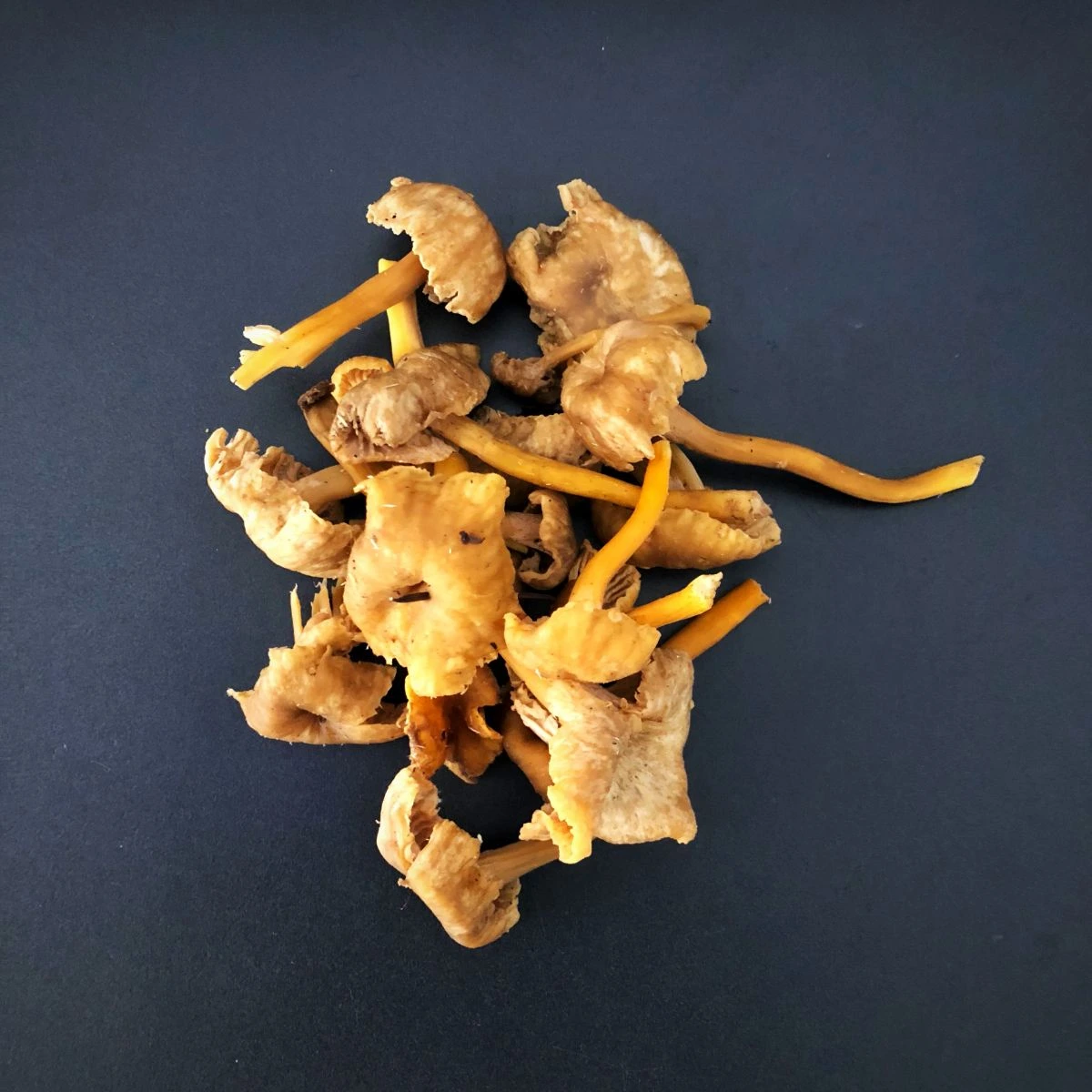 Chanterelles d Automne Kilo Suède
