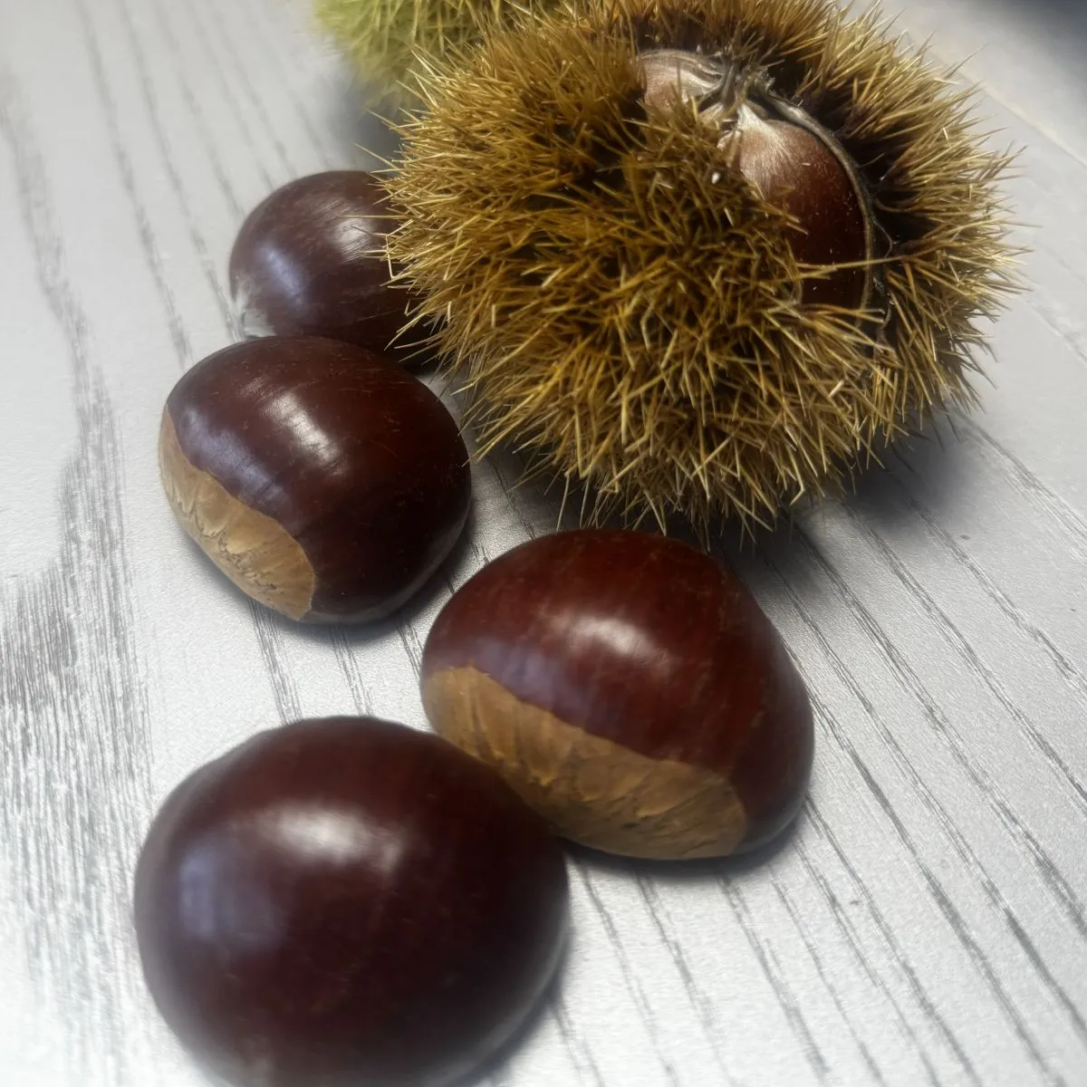 Châtaignes France kilo Châtaignes France kilo
