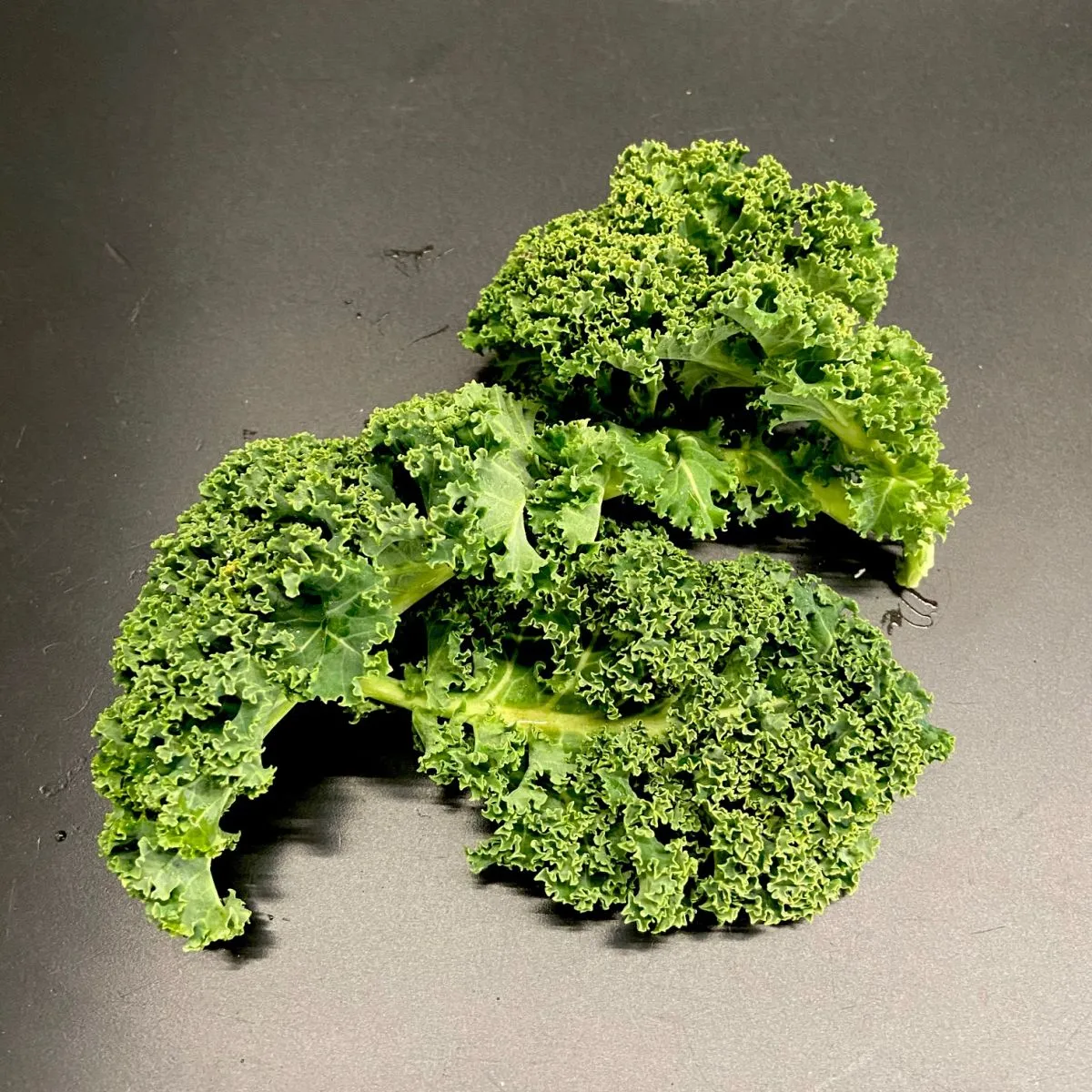 Choux Kale kilo Pays