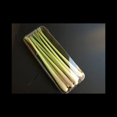 Citronelle Bâton