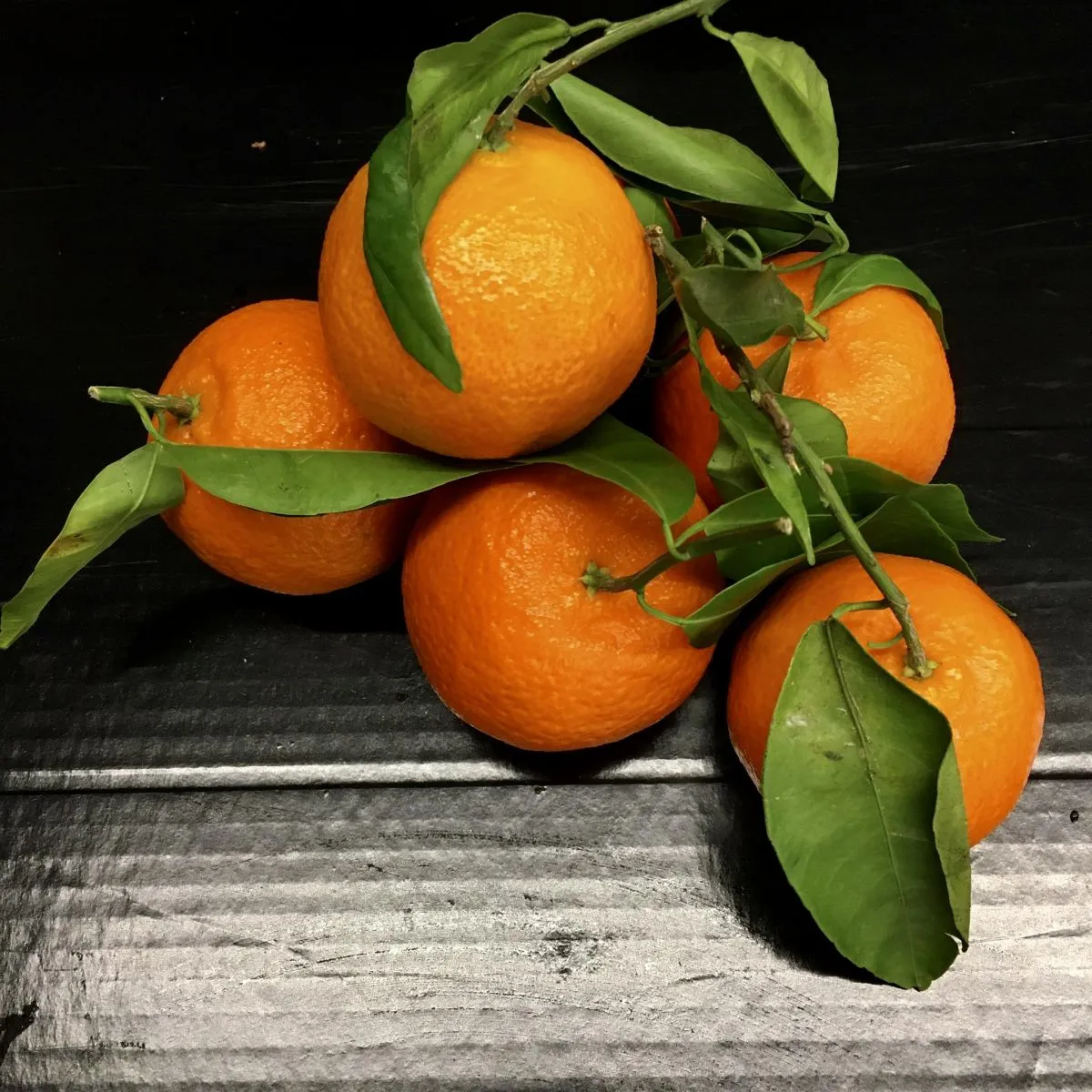 Clémentines Feuilles Espagne