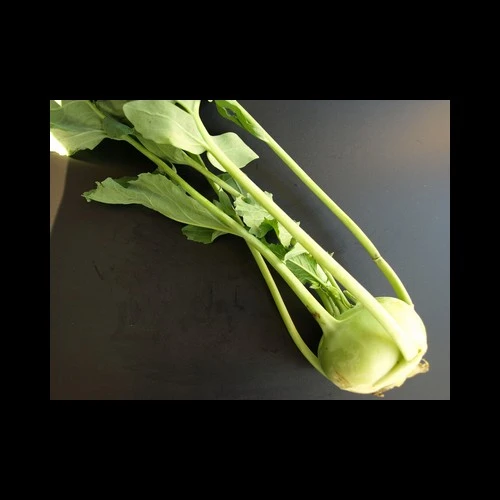 Colraves feuilles Italie 25 pces