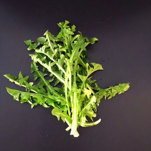 Dent de Lion Pays kilo Dent de Lion Pays kilo