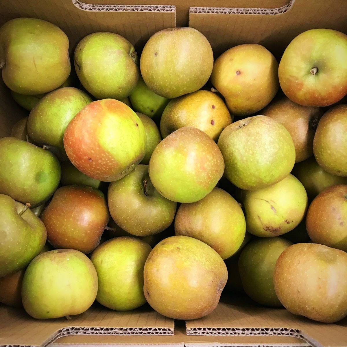 Pommes Boscoop II