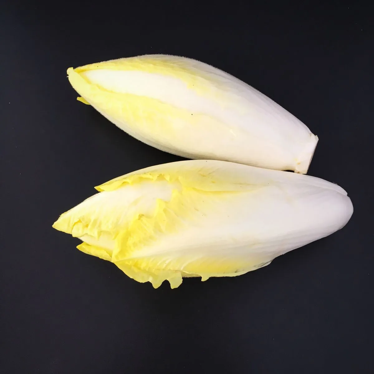 Endives Pays x 5 kg