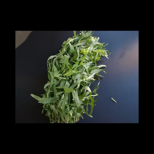 Estragon 100GR
