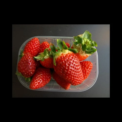 Fraises Barquette Égypte 250Gr