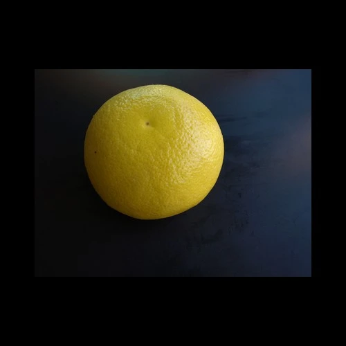 Grapefruits Blancs Israël