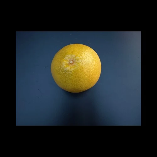 Grapefruits Rouges Espagne