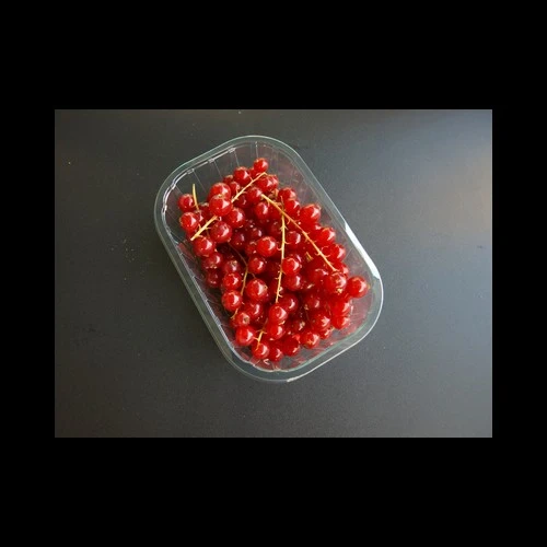 Groseilles Hollande barquette 125 Gr Groseilles Hollande barquette 125 Gr