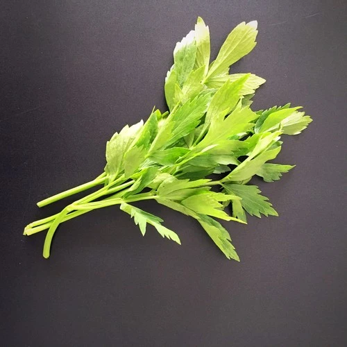 Livèche (Ache - Maggi) 100Gr