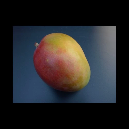 Mangues Brésil carton 9 Pièces Mangues Brésil carton 9 Pièces