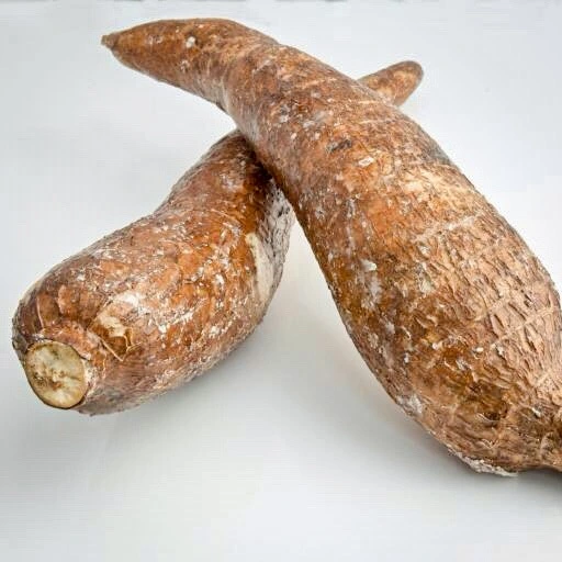 Manioc