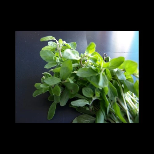 Marjolaine 500GR