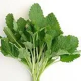 Mélisse 100Gr Mélisse 100Gr