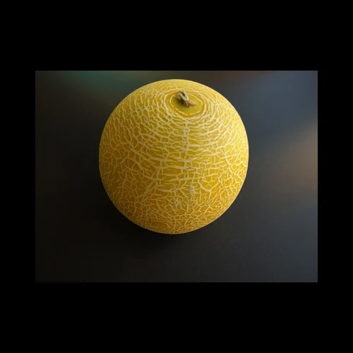 Melon Galia Pièce Brésil