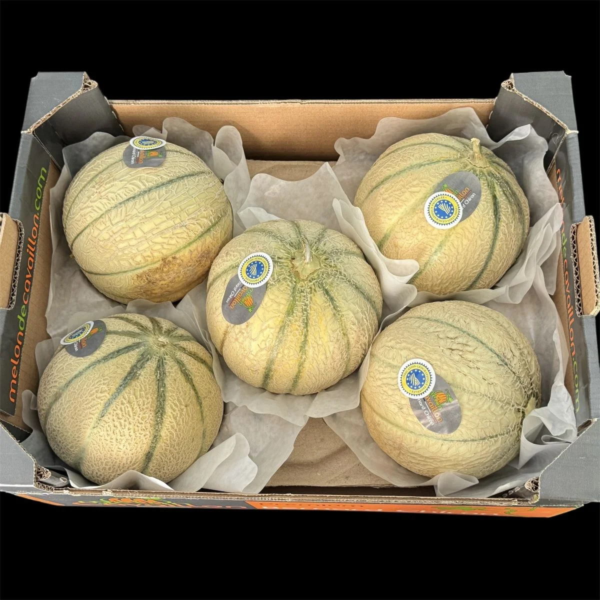 Melon IGP France Cavaillon ~1kg100 pièce