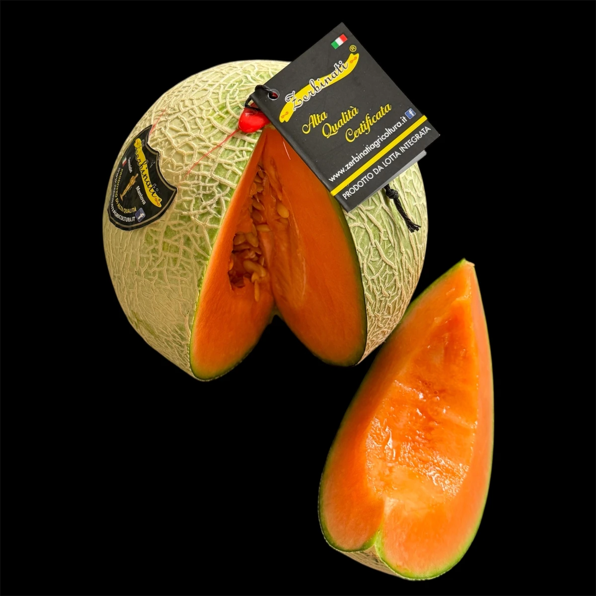 Melon Zerbinati Italie ~900gr