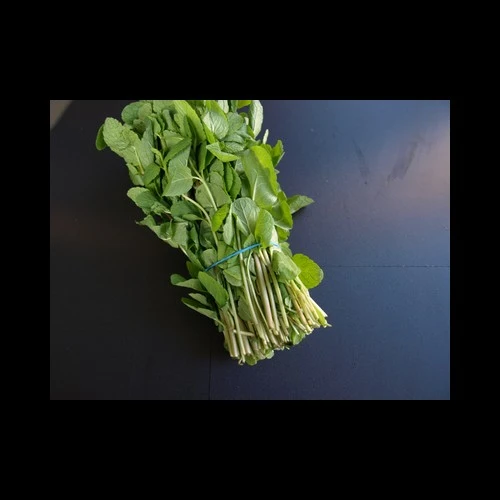 Menthe 100Gr