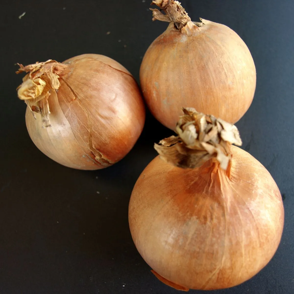 Oignons Gros Pays Kilo