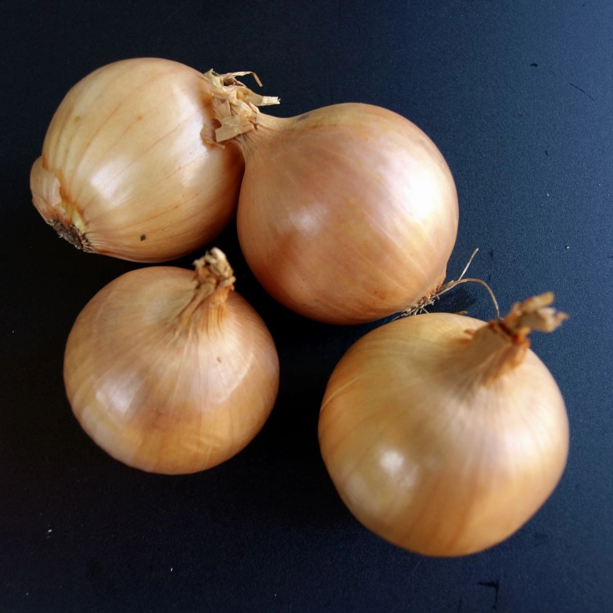 Oignons Moyens Pays Kilo