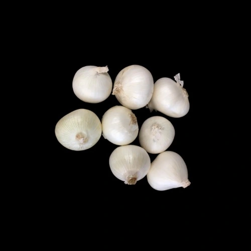 Oignons blancs Italie Kilo