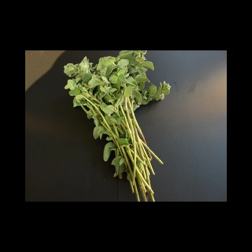 Origan Blister 20Gr