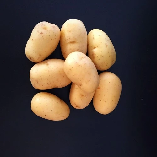 PDT Nouvelles moyennes Pays 10 Kilos