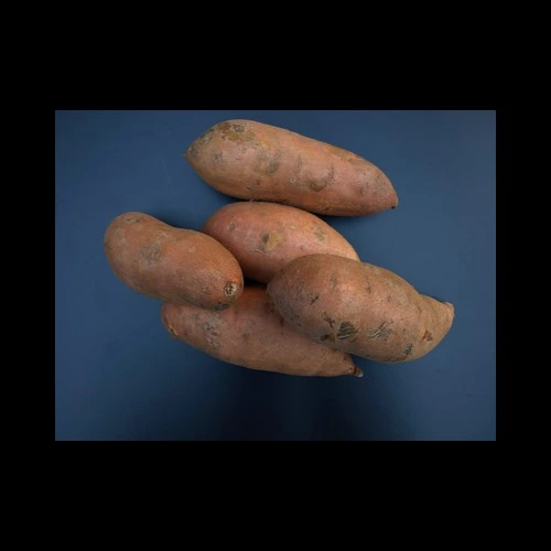 Patates Douces Portugal
