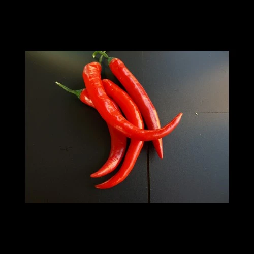 Piments Rouges 100GR