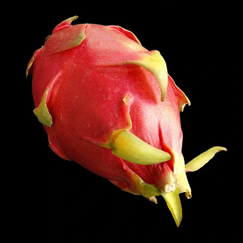 Pitahaya
