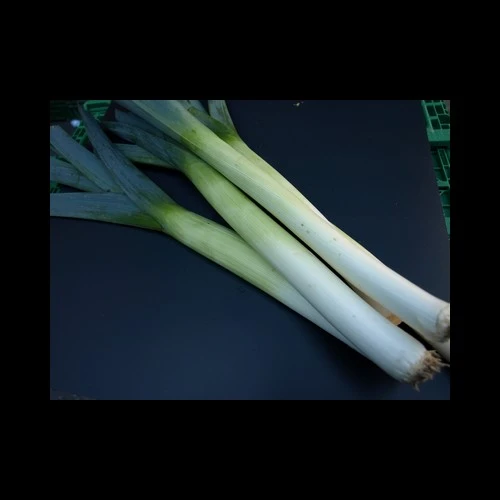 Poireaux Verts Pays colis 6 Kilos