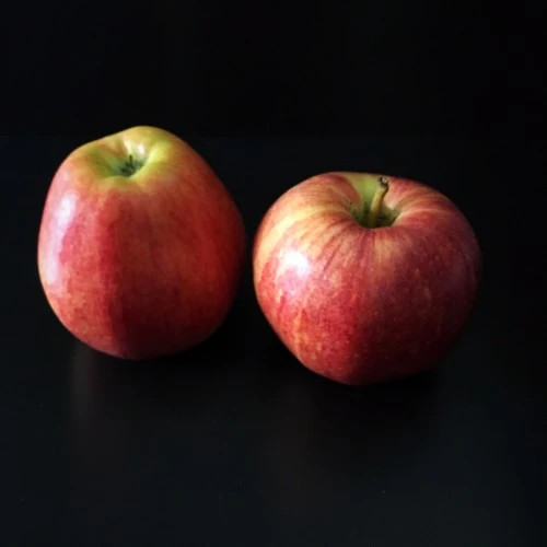Pommes Royal Gala I Kg Valais
