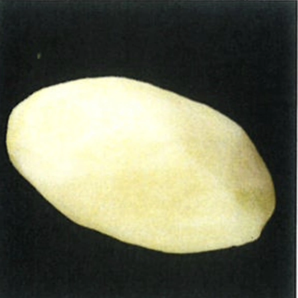 Pommes de Terre Bintje pelées x 2kg