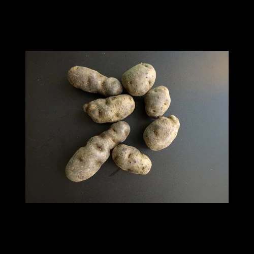Pommes de terre Violettes x 5 kilos Pays
