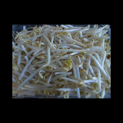 Pousses de Haricot Mungo (Soja) bqt 250Gr Pays
