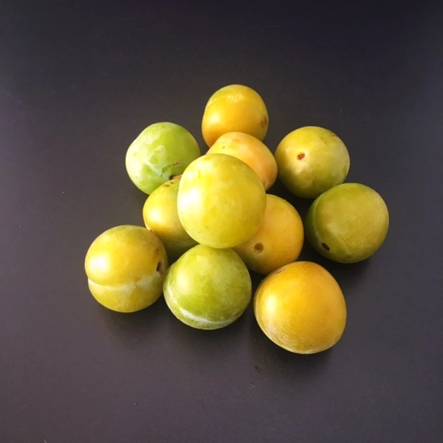 Prunes Mirabellesx 5 Kg France Prunes Mirabellesx 5 Kg France